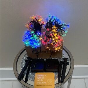 Brighton Muli-Colored LED Floral Outdoor Lights